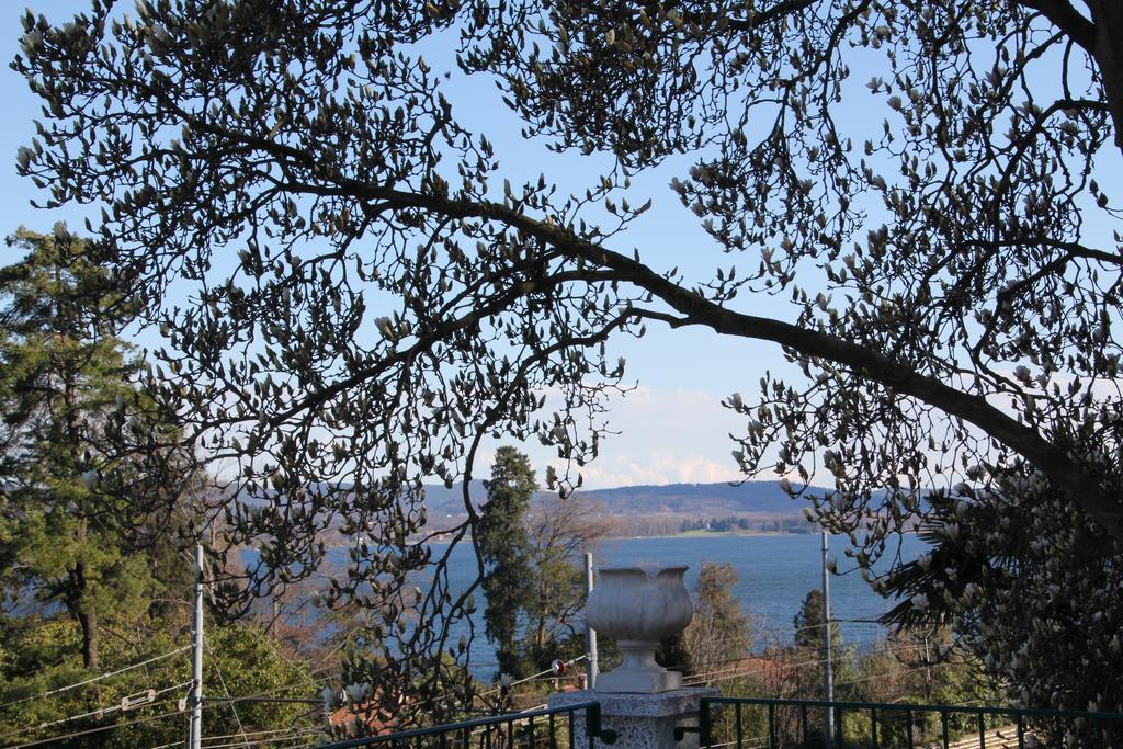La Ciliegia Bianca Bed & Breakfast Belgirate Bagian luar foto