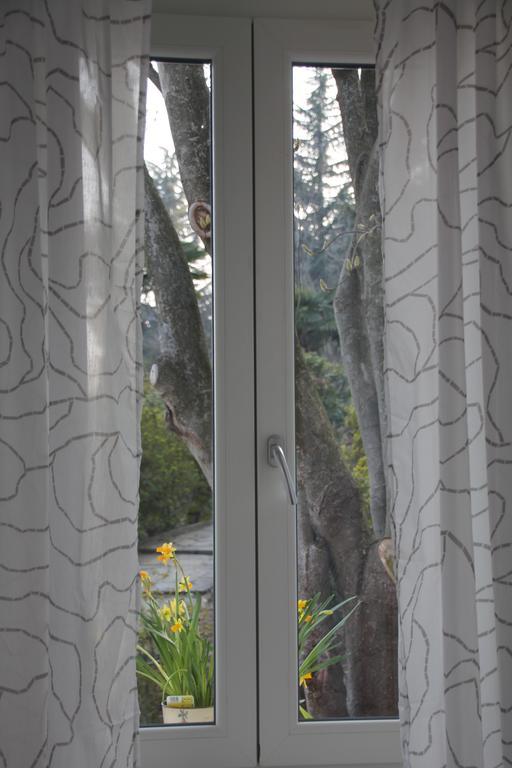 La Ciliegia Bianca Bed & Breakfast Belgirate Bagian luar foto