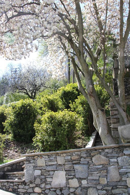La Ciliegia Bianca Bed & Breakfast Belgirate Bagian luar foto
