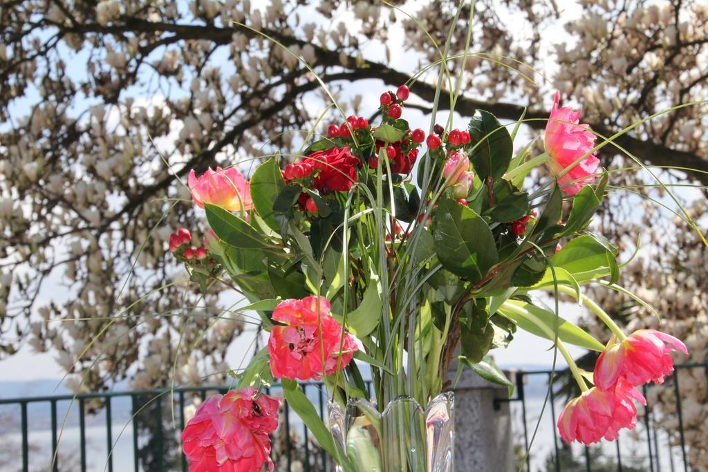 La Ciliegia Bianca Bed & Breakfast Belgirate Bagian luar foto