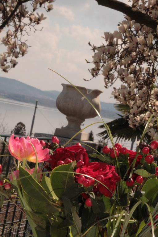 La Ciliegia Bianca Bed & Breakfast Belgirate Bagian luar foto